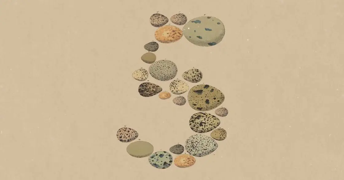卵を並べて5の字を描いた9to5GoogleのClaude Opus 5イメージ画像